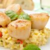 Risotto Capesante e zucchine